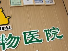 -半岛宠物医院24小时·内窥镜·牙科·碎石中心(府城大道店)