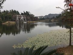 -东岳体育公园