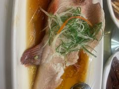 笋壳鱼-顺风海鲜港(金玉兰店)