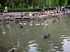-西苑公园
