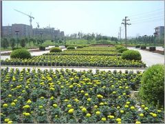 -长春公园(普阳街道)