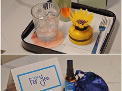 -新加坡乌节希尔顿酒店