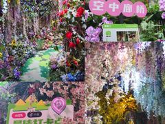 -正佳雨林生态植物园