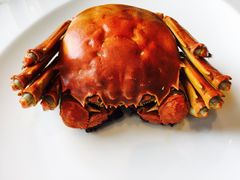 -上海和平饭店龙凤厅 Dragon Phoenix