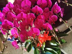 -爱尚幸福鲜花(上地实体店)