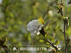 -国家植物园