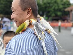 -姐告口岸