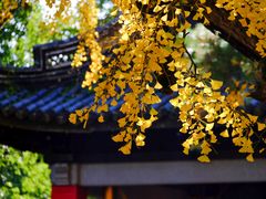 -无锡惠山寺