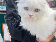 -星巴克(珠海仁恒滨海中心店)