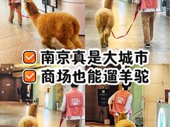 -东方福来德