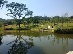 -中山市树木园