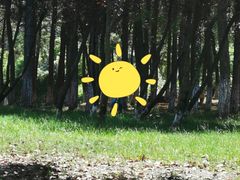 -艾溪湖湿地公园