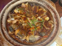 -映水芙蓉(上海万象城店)