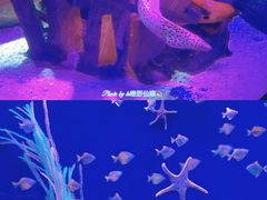 -沈阳海洋探索中心