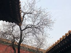 -故宫博物院(故宫)