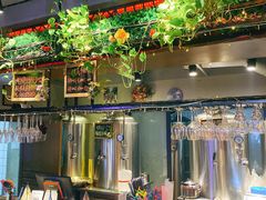 -红牌美蛙鱼头火锅(万辉国际广场店)