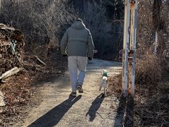 -辛安庄鸡鸣山景区