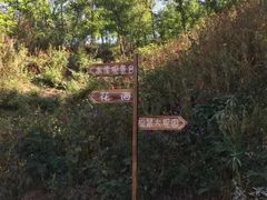 -欢乐松鼠谷