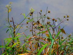 -碓臼峪自然风景区