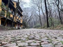 -灵谷景区