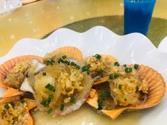 蒜蓉粉丝蒸扇贝-春园海鲜广场D区6号(钟姐海鲜加工店)