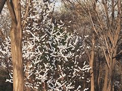 -森林公园(尖草坪区)