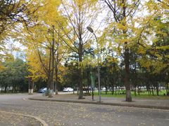-四川大学(望江校区)