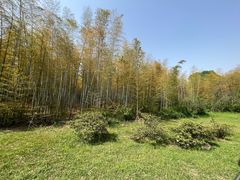 -宜兴龙背山森林公园