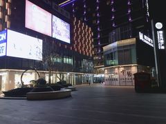 -恒生万鹂广场(唐镇店)
