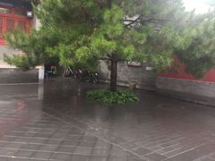 -北京市府学胡同小学