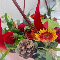 -DR钻戒(杭州星光大道店)