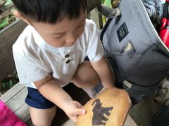 -大象粑粑造纸公园