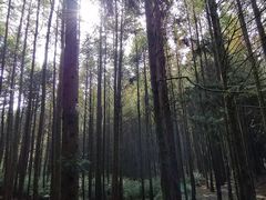 -山王坪喀斯特国家生态公园