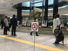 -东京都厅舍