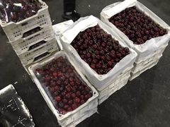 -西郊国际农产品交易中心