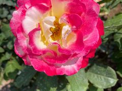 -人民公园(罗湖区)