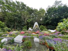 -深圳仙湖植物园
