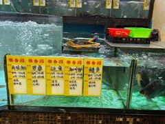 -雅香园·30年老字号顺德酒家(乐从岳步店)