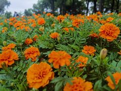 -狼山风景名胜区