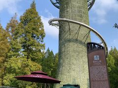 -黄海国家森林公园