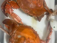 -宾朋海鲜饭庄(兴海路店)