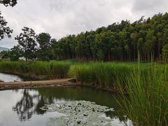 -良渚古城遗址公园