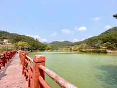 -广州白江湖森林公园