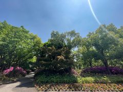 -上海滨江森林公园