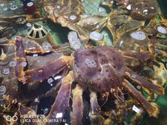 -徐记海鲜·宴会(大唐西市|丰庆店)