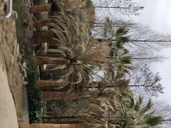 -苏州河梦清园环保主题公园