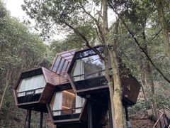 -杭州开元森泊度假乐园