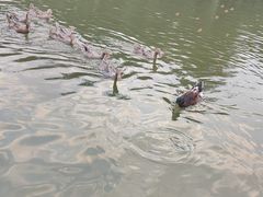 -仁和公园(顺义区)