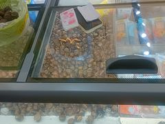 -粒上皇(淮河路步行街店)