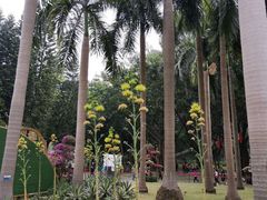 -广州雕塑公园